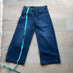 Banana Republic Blue Flare Wide Leg Jeans with Indigo Hue